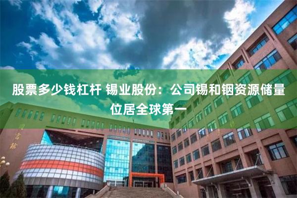 股票多少钱杠杆 锡业股份：公司锡和铟资源储量位居全球第一