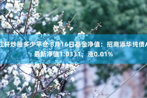 杠杆炒股多少平仓 8月16日基金净值：招商添华纯债A最新净值1.0331，涨0.01%