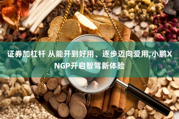 证券加杠杆 从能开到好用、逐步迈向爱用,小鹏XNGP开启智驾新体验