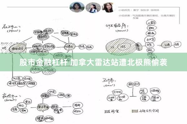 股市金融杠杆 加拿大雷达站遭北极熊偷袭