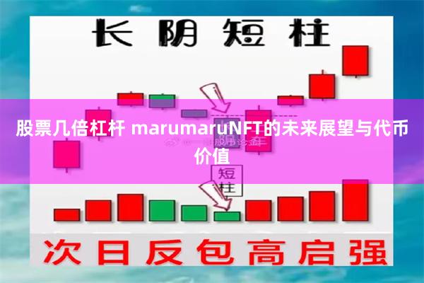 股票几倍杠杆 marumaruNFT的未来展望与代币价值