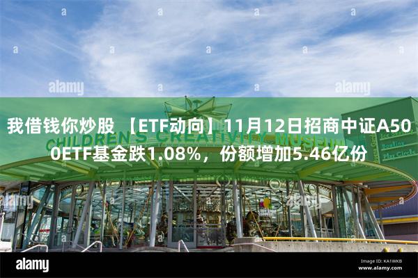 我借钱你炒股 【ETF动向】11月12日招商中证A500ETF基金跌1.08%，份额增加5.46亿份