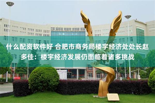 什么配资软件好 合肥市商务局楼宇经济处处长赵多佳：楼宇经济发展仍面临着诸多挑战