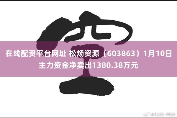 在线配资平台网址 松炀资源（603863）1月10日主力资金净卖出1380.38万元