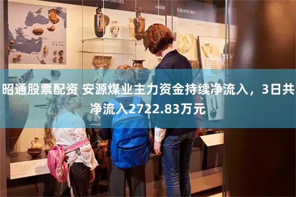 昭通股票配资 安源煤业主力资金持续净流入，3日共净流入2722.83万元