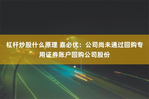 杠杆炒股什么原理 嘉必优：公司尚未通过回购专用证券账户回购公司股份